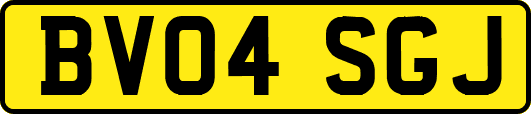 BV04SGJ