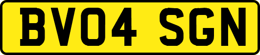 BV04SGN