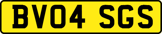 BV04SGS