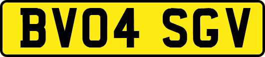 BV04SGV