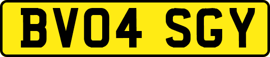 BV04SGY