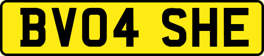 BV04SHE
