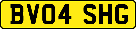 BV04SHG
