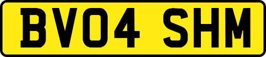 BV04SHM