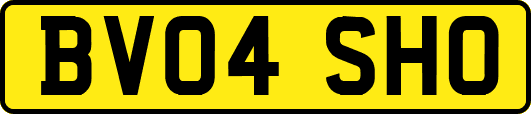 BV04SHO