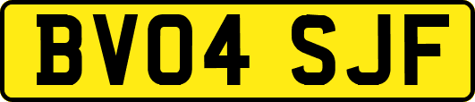 BV04SJF