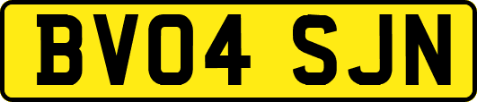 BV04SJN