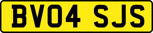 BV04SJS