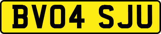 BV04SJU
