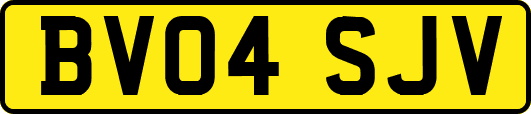 BV04SJV