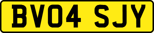 BV04SJY