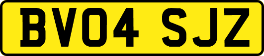 BV04SJZ