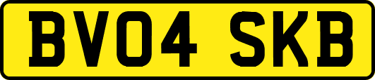 BV04SKB