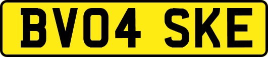 BV04SKE
