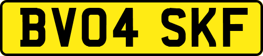BV04SKF