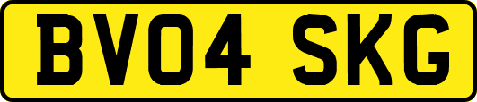 BV04SKG