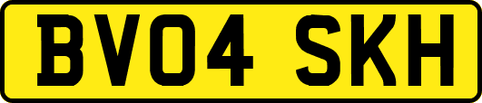 BV04SKH