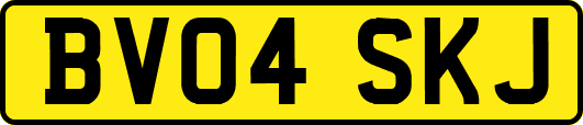 BV04SKJ