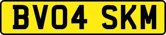 BV04SKM