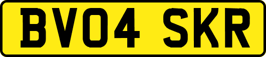 BV04SKR
