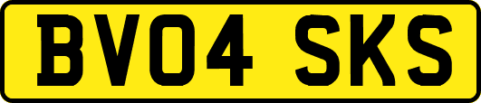BV04SKS