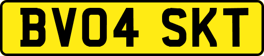 BV04SKT