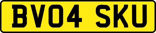 BV04SKU