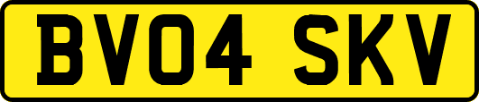 BV04SKV