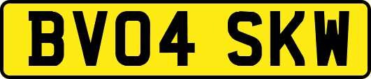 BV04SKW