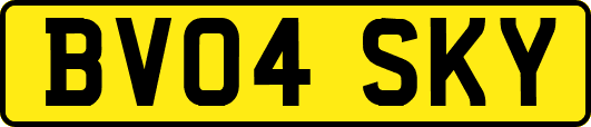 BV04SKY