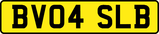 BV04SLB
