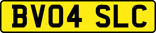 BV04SLC