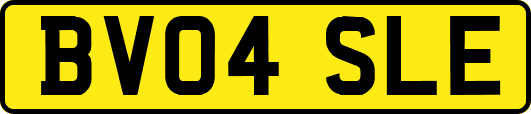 BV04SLE