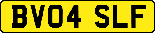 BV04SLF