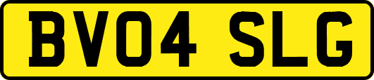 BV04SLG