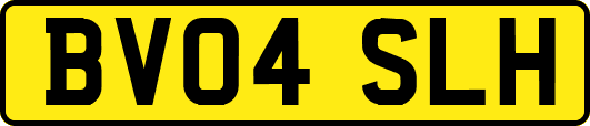 BV04SLH