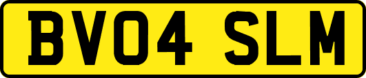 BV04SLM