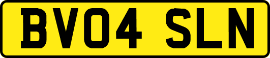 BV04SLN