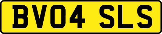 BV04SLS