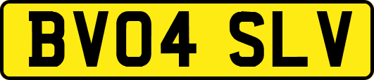 BV04SLV