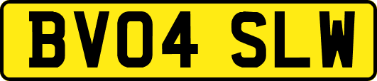 BV04SLW
