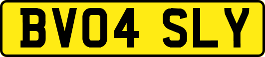 BV04SLY