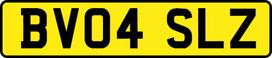 BV04SLZ