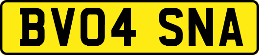 BV04SNA