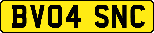 BV04SNC