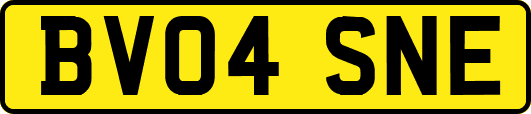 BV04SNE