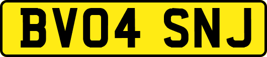 BV04SNJ