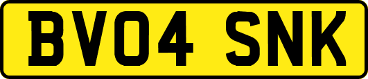 BV04SNK