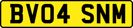 BV04SNM