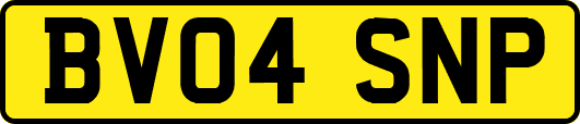 BV04SNP
